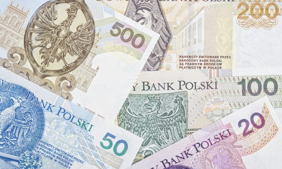 Polish money a business background